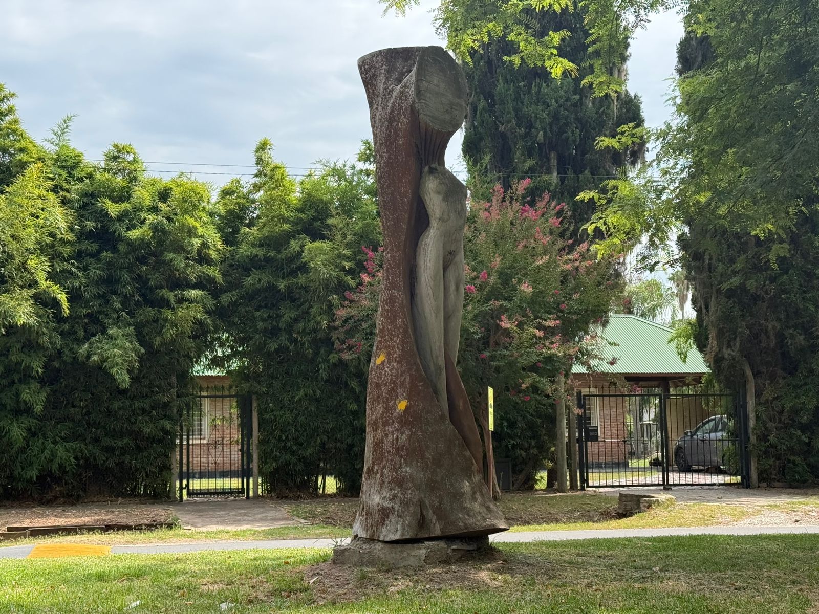 El misterio de la mujer tallada en un árbol de Funes: qué se esconde detrás de la particular escultura 